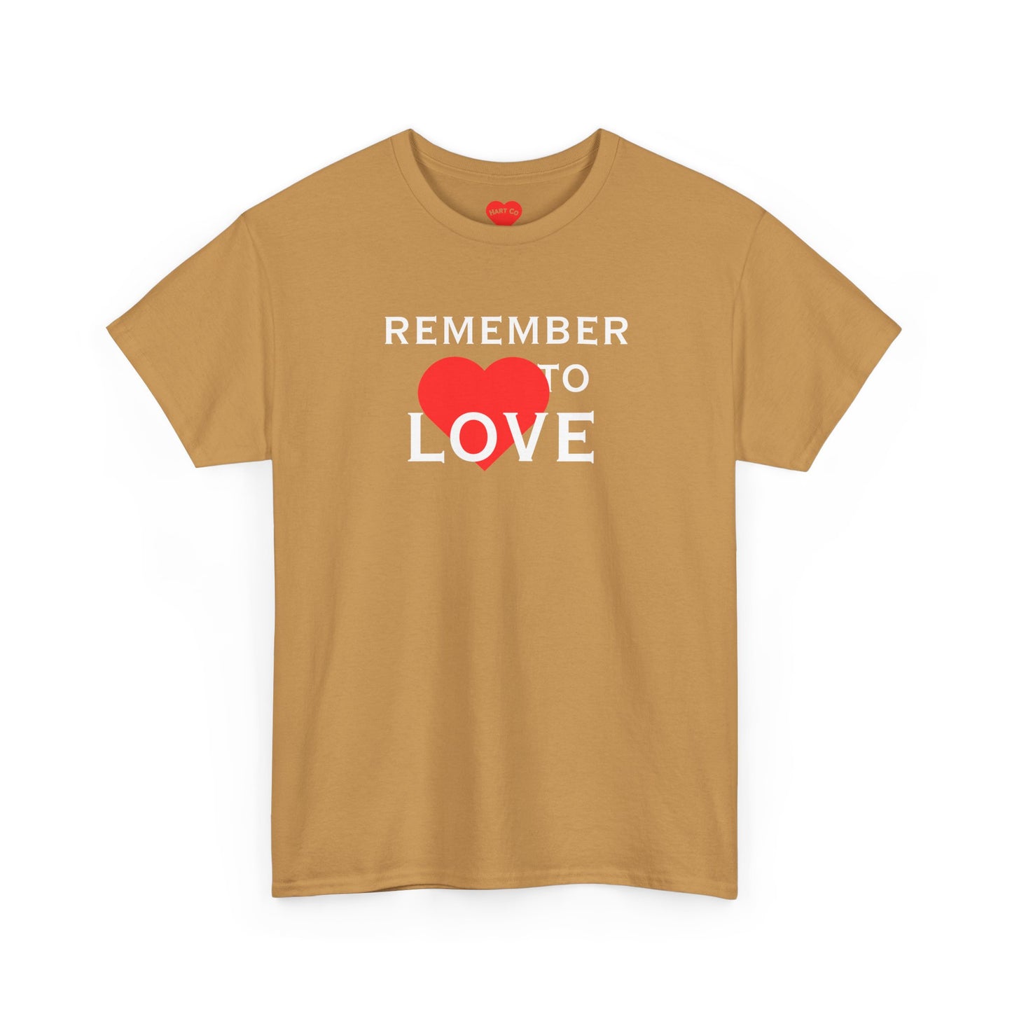 Remember to Love Tee